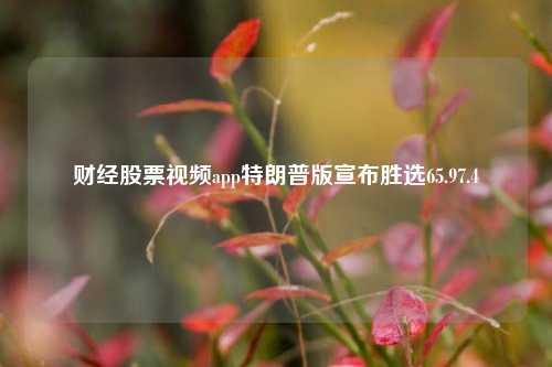 财经股票视频app特朗普版宣布胜选65.97.4