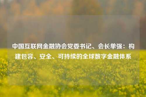 中国互联网金融协会党委书记、会长单强：构建包容、安全、可持续的全球数字金融体系