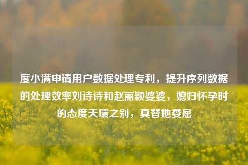 度小满申请用户数据处理专利，提升序列数据的处理效率刘诗诗和赵丽颖婆婆，媳妇怀孕时的态度天壤之别，真替她委屈