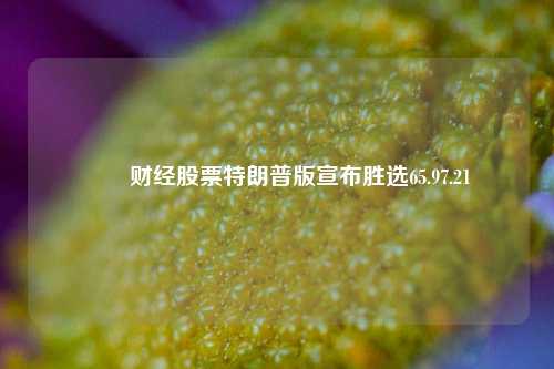 燚燚财经股票特朗普版宣布胜选65.97.21