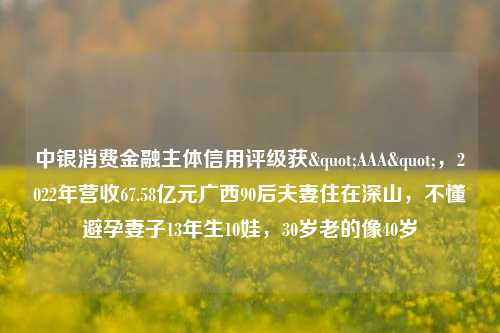 中银消费金融主体信用评级获"AAA"，2022年营收67.58亿元广西90后夫妻住在深山，不懂避孕妻子13年生10娃，30岁老的像40岁