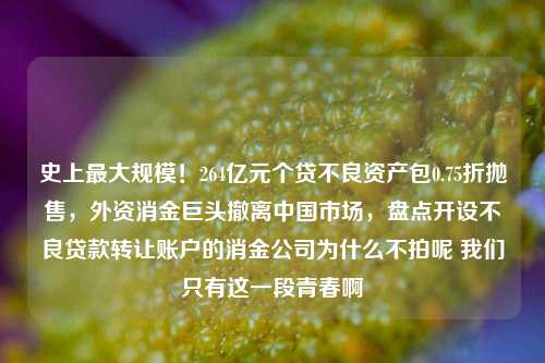 史上最大规模！264亿元个贷不良资产包0.75折抛售，外资消金巨头撤离中国市场，盘点开设不良贷款转让账户的消金公司为什么不拍呢 我们只有这一段青春啊