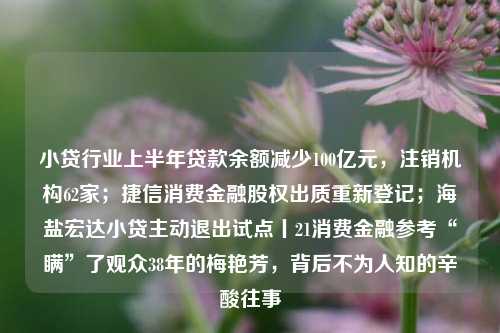 小贷行业上半年贷款余额减少100亿元，注销机构62家；捷信消费金融股权出质重新登记；海盐宏达小贷主动退出试点丨21消费金融参考“瞒”了观众38年的梅艳芳，背后不为人知的辛酸往事