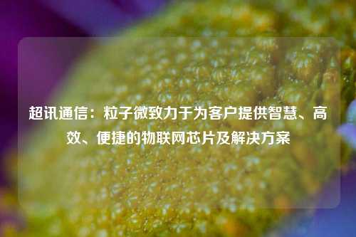 超讯通信：粒子微致力于为客户提供智慧、高效、便捷的物联网芯片及解决方案