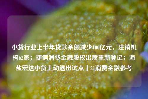 小贷行业上半年贷款余额减少100亿元，注销机构62家；捷信消费金融股权出质重新登记；海盐宏达小贷主动退出试点丨21消费金融参考