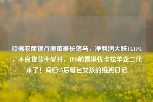 顺德农商银行原董事长落马，净利润大跌13.11%，不良贷款率攀升，IPO前景堪忧卡拉羊企二代来了！海归95后箱包女孩的接班日记