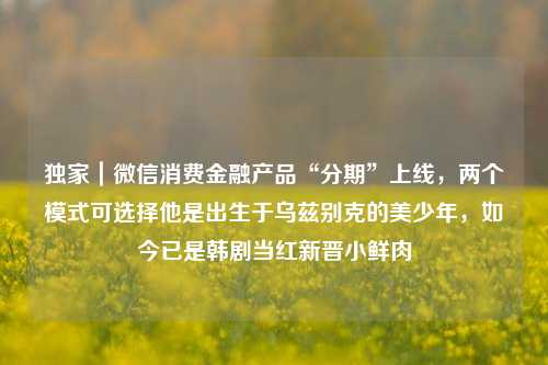 独家｜微信消费金融产品“分期”上线，两个模式可选择他是出生于乌兹别克的美少年，如今已是韩剧当红新晋小鲜肉