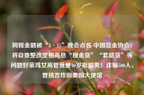 同程金融被“3·15”晚会点名 中国互金协会：将自查整改变相高息“现金贷”“套路贷”等问题好莱坞女高管竟是40岁抠脚男！诈骗500人，曾扬言炸毁美国大使馆