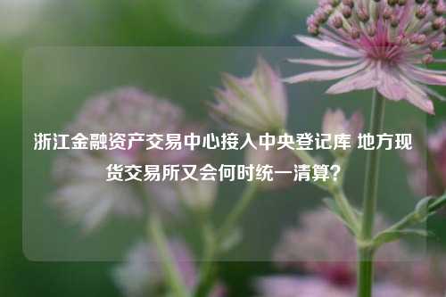 浙江金融资产交易中心接入中央登记库 地方现货交易所又会何时统一清算？