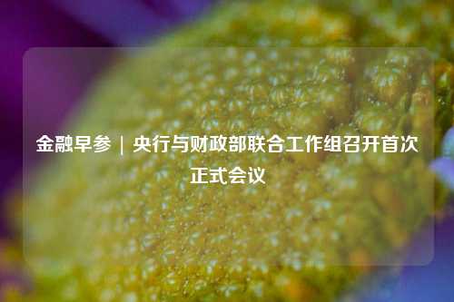 金融早参 | 央行与财政部联合工作组召开首次正式会议