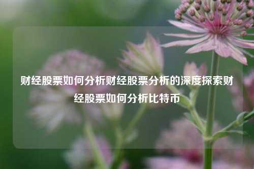 财经股票如何分析财经股票分析的深度探索财经股票如何分析比特币