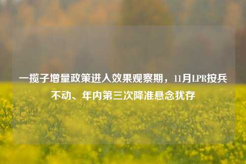 一揽子增量政策进入效果观察期，11月LPR按兵不动、年内第三次降准悬念犹存