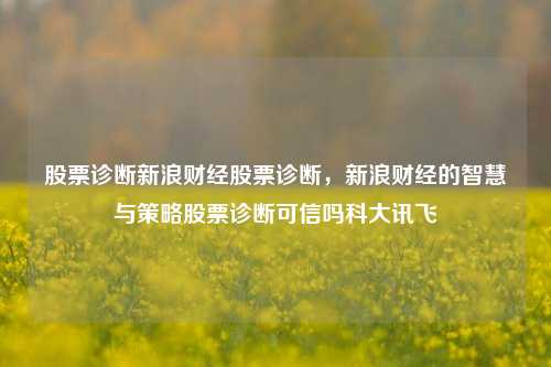 股票诊断新浪财经股票诊断，新浪财经的智慧与策略股票诊断可信吗科大讯飞