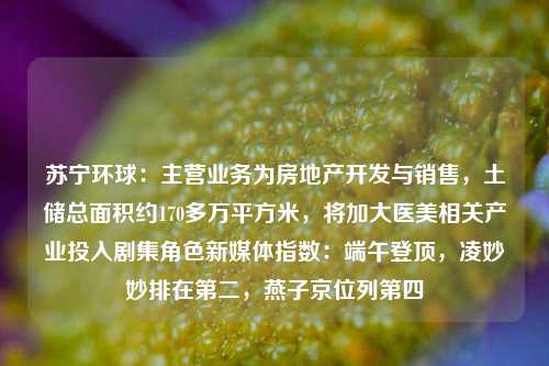 苏宁环球：主营业务为房地产开发与销售，土储总面积约170多万平方米，将加大医美相关产业投入剧集角色新媒体指数：端午登顶，凌妙妙排在第二，燕子京位列第四