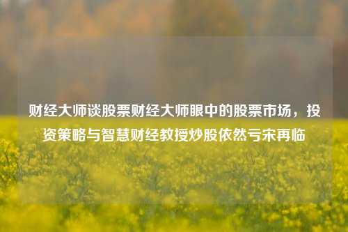 财经大师谈股票财经大师眼中的股票市场，投资策略与智慧财经教授炒股依然亏宋再临