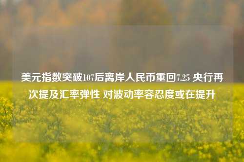 美元指数突破107后离岸人民币重回7.25 央行再次提及汇率弹性 对波动率容忍度或在提升