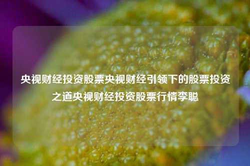 央视财经投资股票央视财经引领下的股票投资之道央视财经投资股票行情李聪