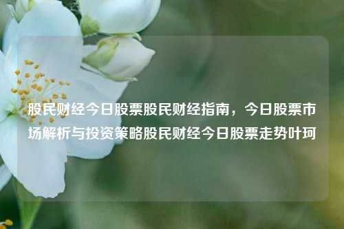 股民财经今日股票股民财经指南，今日股票市场解析与投资策略股民财经今日股票走势叶珂