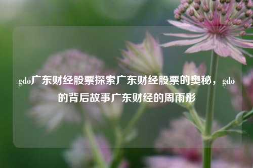 gdo广东财经股票探索广东财经股票的奥秘，gdo的背后故事广东财经的周雨彤