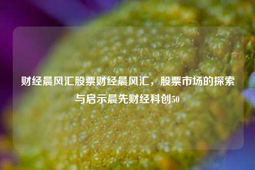 财经晨风汇股票财经晨风汇，股票市场的探索与启示晨先财经科创50