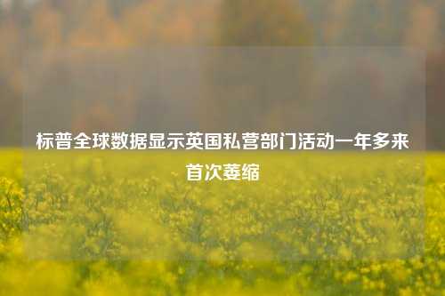 标普全球数据显示英国私营部门活动一年多来首次萎缩