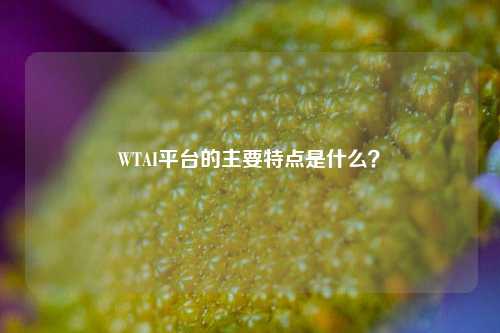 WTAI平台的主要特点是什么？