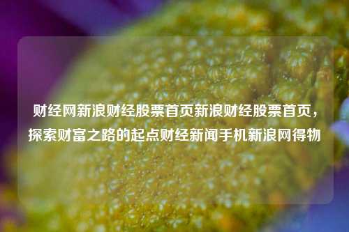 财经网新浪财经股票首页新浪财经股票首页，探索财富之路的起点财经新闻手机新浪网得物