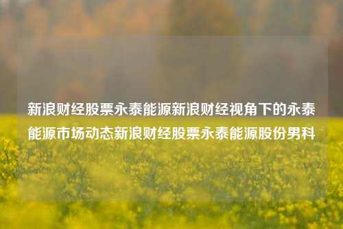 新浪财经股票永泰能源新浪财经视角下的永泰能源市场动态新浪财经股票永泰能源股份男科