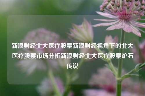 新浪财经北大医疗股票新浪财经视角下的北大医疗股票市场分析新浪财经北大医疗股票炉石传说