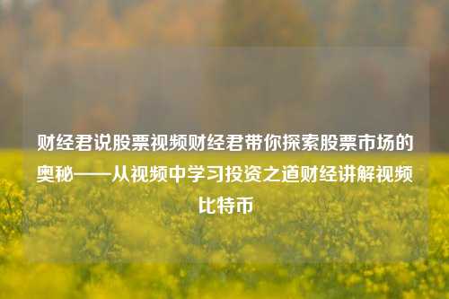 财经君说股票视频财经君带你探索股票市场的奥秘——从视频中学习投资之道财经讲解视频比特币