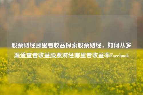 股票财经哪里看收益探索股票财经，如何从多渠道查看收益股票财经哪里看收益率Facebook