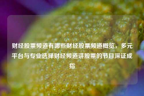 财经股票频道有哪些财经股票频道概览，多元平台与专业选择财经频道讲股票的节目深证成指