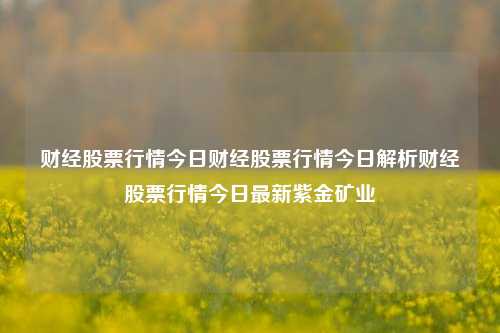 财经股票行情今日财经股票行情今日解析财经股票行情今日最新紫金矿业