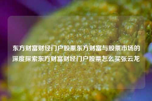 东方财富财经门户股票东方财富与股票市场的深度探索东方财富财经门户股票怎么买张云龙