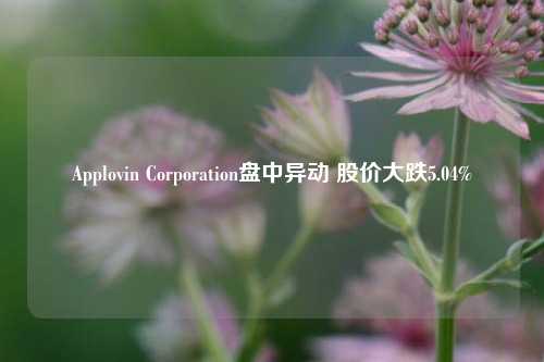 Applovin Corporation盘中异动 股价大跌5.04%