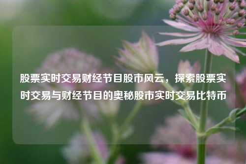 股票实时交易财经节目股市风云，探索股票实时交易与财经节目的奥秘股市实时交易比特币