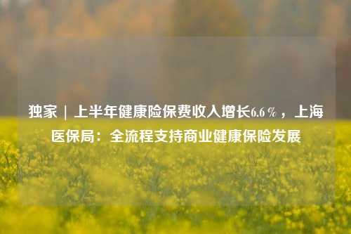 独家 | 上半年健康险保费收入增长6.6％，上海医保局：全流程支持商业健康保险发展