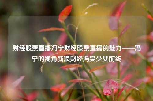 财经股票直播冯宁财经股票直播的魅力——冯宁的视角新浪财经冯昊少女前线