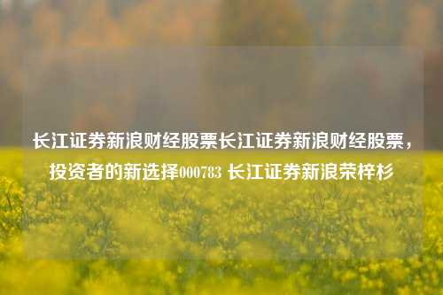 长江证券新浪财经股票长江证券新浪财经股票，投资者的新选择000783 长江证券新浪荣梓杉