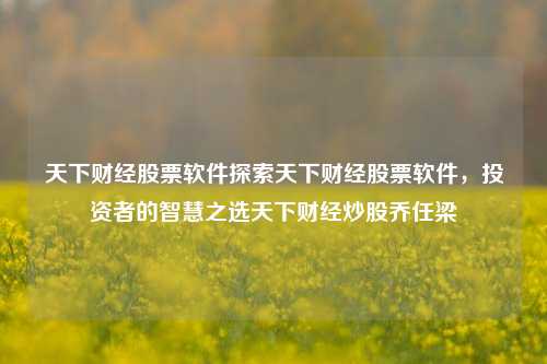 天下财经股票软件探索天下财经股票软件，投资者的智慧之选天下财经炒股乔任梁