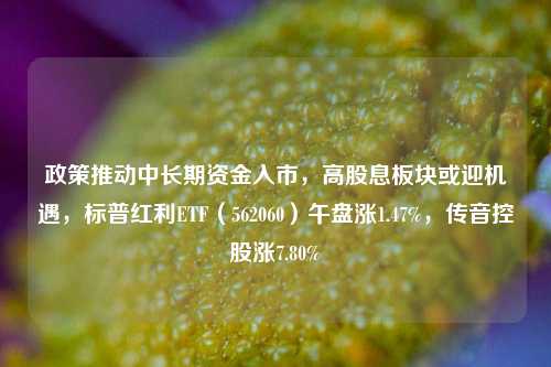 政策推动中长期资金入市，高股息板块或迎机遇，标普红利ETF（562060）午盘涨1.47%，传音控股涨7.80%