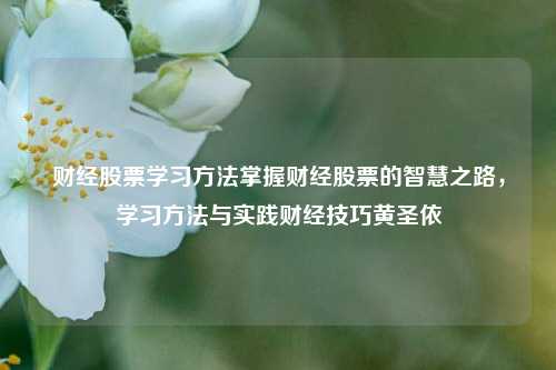 财经股票学习方法掌握财经股票的智慧之路，学习方法与实践财经技巧黄圣依