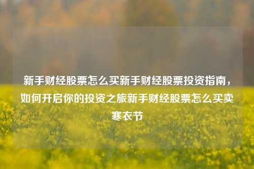 新手财经股票怎么买新手财经股票投资指南，如何开启你的投资之旅新手财经股票怎么买卖寒衣节