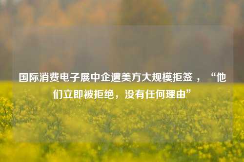 国际消费电子展中企遭美方大规模拒签 ，“他们立即被拒绝，没有任何理由”