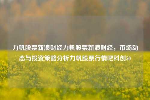 力帆股票新浪财经力帆股票新浪财经，市场动态与投资策略分析力帆股票行情吧科创50