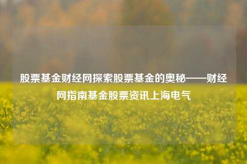 股票基金财经网探索股票基金的奥秘——财经网指南基金股票资讯上海电气