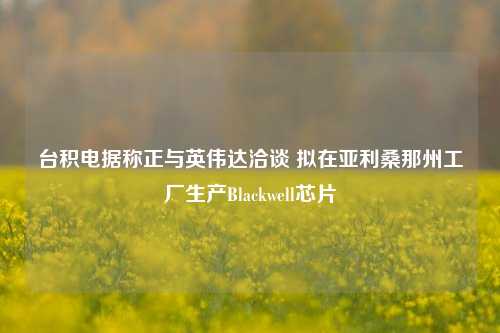 台积电据称正与英伟达洽谈 拟在亚利桑那州工厂生产Blackwell芯片