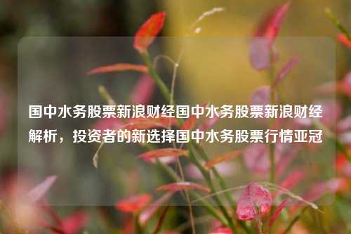 国中水务股票新浪财经国中水务股票新浪财经解析，投资者的新选择国中水务股票行情亚冠