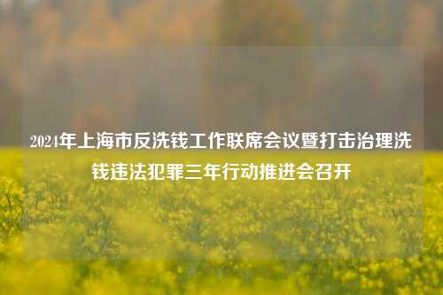 2024年上海市反洗钱工作联席会议暨打击治理洗钱违法犯罪三年行动推进会召开