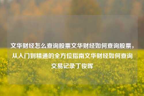 文华财经怎么查询股票文华财经如何查询股票，从入门到精通的全方位指南文华财经如何查询交易记录丁俊晖